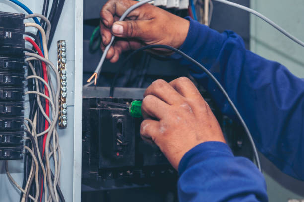 Best Local Electrician Companies  in Mount Oliver, PA